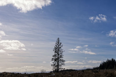 Trees on landscape against sky