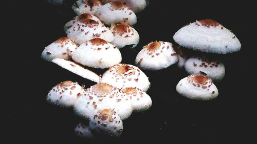 Close-up of object over black background