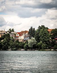 Trees and buildings by river against sky