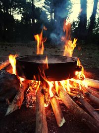 Campfire in forest at night