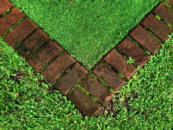 High angle view of green field