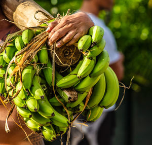 Banana diet carried by a man