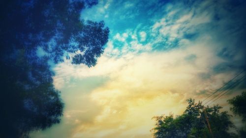 Low angle view of trees against sky