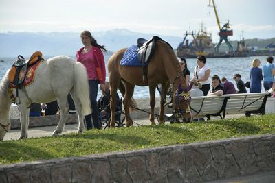 Woman walking by horses grazing by sea against sky