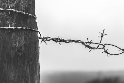 Close-up of barbed wire against clear sky