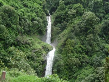 Scenic view of waterfall