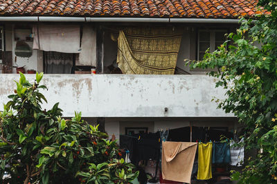 Low angle view of potted plants outside building