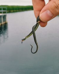 Close-up of hand holding fishing net