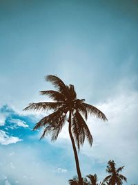 Low angle view of coconut palm tree against sky