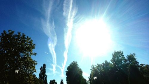 Low angle view of trees against sky