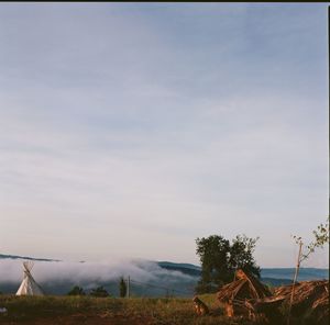 Scenic view of field against sky