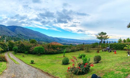 Scenic view of landscape against sky