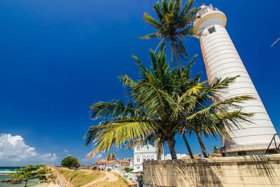 Low angle view of lighthouse by palm trees against sky