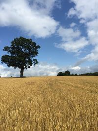 Scenic view of field against cloudy sky