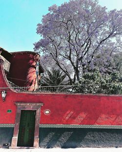 Low angle view of red flowering tree by building against sky