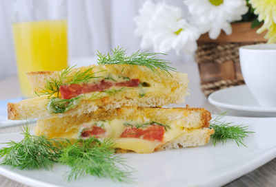 Sandwich with tomato and cheese on a plate with dill
