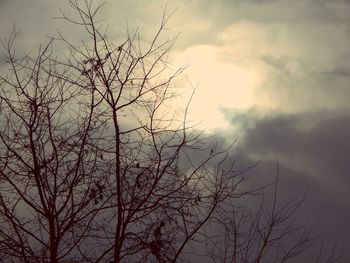 Low angle view of bare tree against cloudy sky