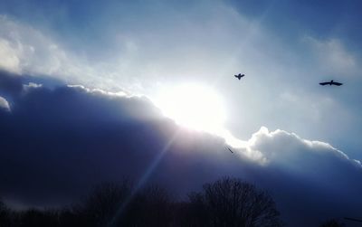 Low angle view of silhouette birds flying in sky