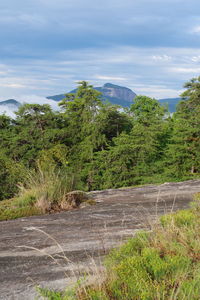 Scenic view of landscape against cloudy sky