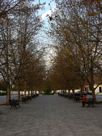 Bare trees against sky