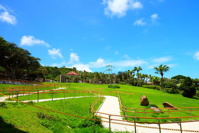 Scenic view of agricultural field against sky
