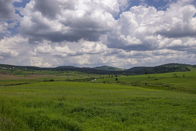 Scenic view of landscape against sky