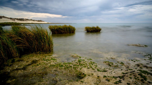 Scenic view of sea against sky