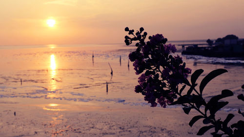 Scenic view of sea against sky during sunset