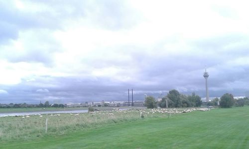 Scenic view of grassy field against cloudy sky