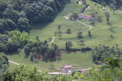 High angle view of trees and buildings