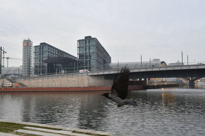 Bridge over river in city against sky