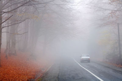 Road passing through foggy weather