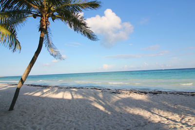 Scenic view of tropical, empty beach