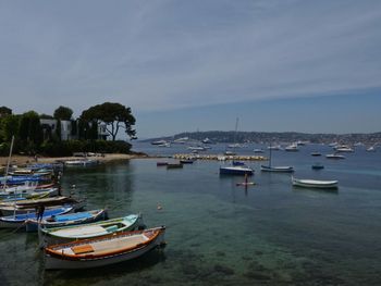 Boats moored at harbor