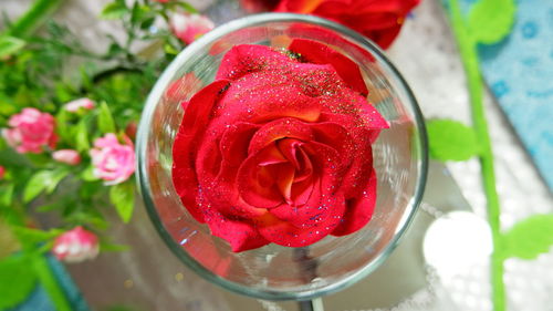 High angle view of pink rose on table