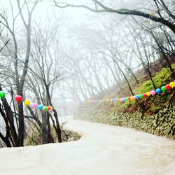 Multi colored hanging on bare tree against sky
