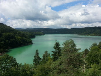 Scenic view of forest by sea against sky