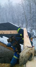 Man working on tree