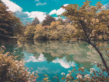 Reflection of trees in lake against sky