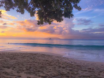 Scenic view of sea during sunset