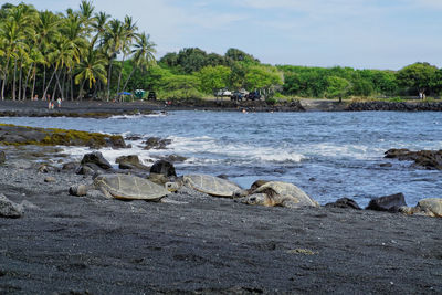 Scenic view of sea against sky