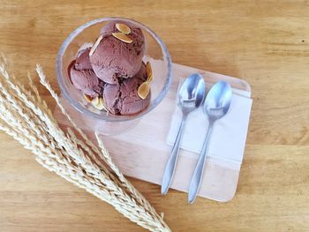 Directly above shot of ice cream in bowl on table