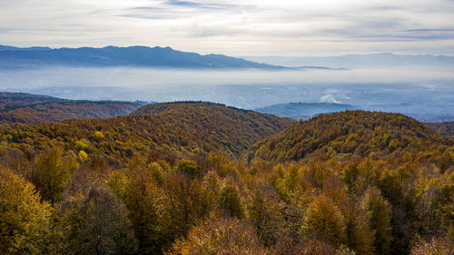 Scenic view of landscape against sky during autumn