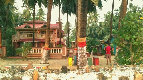 Palm trees in front of building