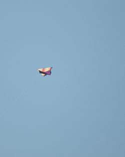 Low angle view of bird flying in sky