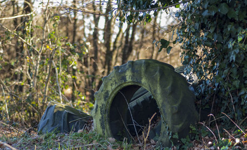 Old ruin of old building