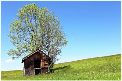 Tree on field against clear blue sky