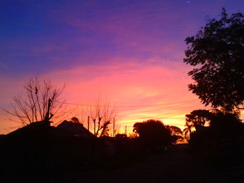 Silhouette of bare trees at sunset