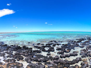 Scenic view of sea against blue sky