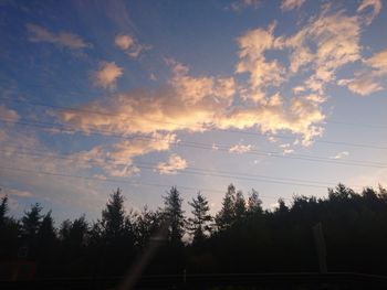 Silhouette of trees at sunset